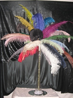 Feather Cascade